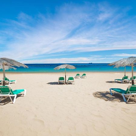 Апартаменты Apto Drago Holidays Санта-Крус-де-Тенерифе Экстерьер фото